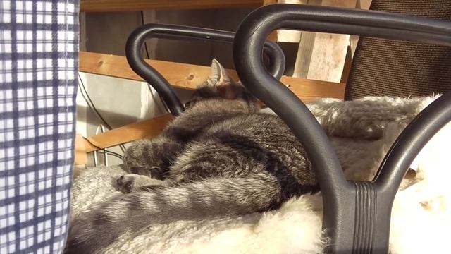 Покатушки на снегоходах через Томь Кафтан Апрель смотреть онлайн