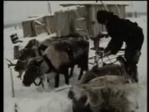 Саами - оленеводы села Ловозеро в 1978 году