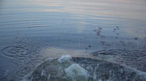 Бездонное озеро Солнечногорск