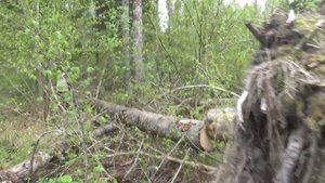 Заготавливаем "ВАЛЕЖНИК"  в старых делянах.......