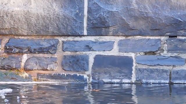 Nature ASMR Video for Relaxation and Sleep: Panasonic ZS100 Water Reflections on a Wall смотреть онлайн