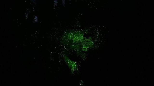 ALM Busy Circuits Squid Fender Mustang fuzz guitar and Moose Effects processed drum sampler смотреть онлайн