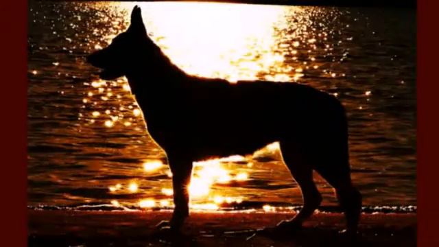 Птичка на ветвях моей души))) смотреть онлайн