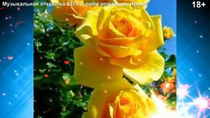 Музыкальная открытка 0375 С днём рождения, Ирина!