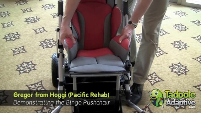 Tadpole Adaptive: Bingo Pediatric Special Needs Stroller