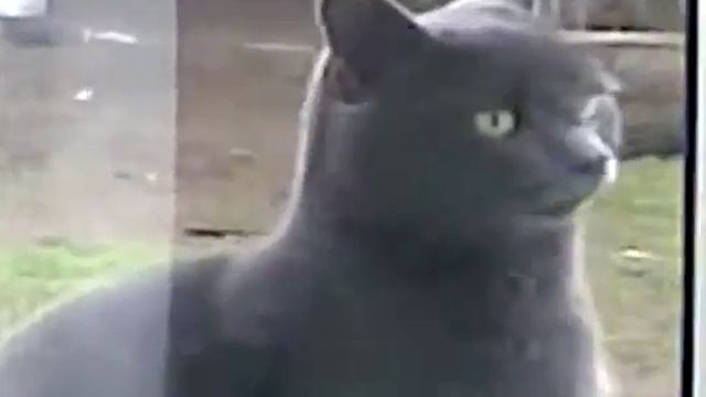 Саня, открой, хавать хочу (оригинал, известное видео) смотреть онлайн