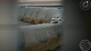 5 Неизвестных существ снятых на камеру