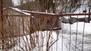 Экологическая тропа у Радоновых озер  Лопухинка