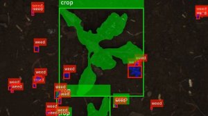 Difficult Condition, Crop (Sugar beet) & Weed Detection with Convolutional Neural Networks (CNN)