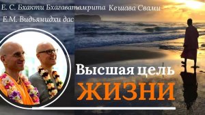 Как без промедлений достичь высшей цели жизни? / ББ Кешава Свами и Видьянидхи дас.