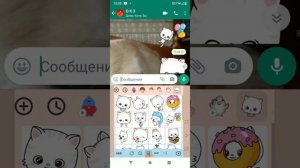 спам в WhatsApp