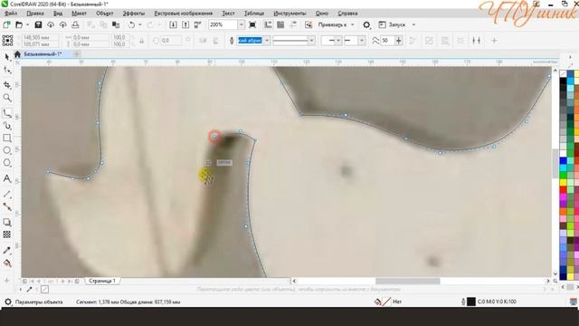 CorelDRAW для начинающих. Как обрисовать объект В-сплайном. смотреть онлайн