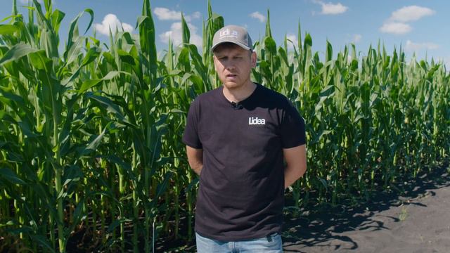 Экологическое сортоиспытание гибридов и сортов смотреть онлайн