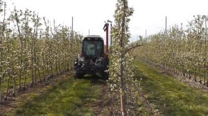 Техника для защиты сада. Дарвин 300