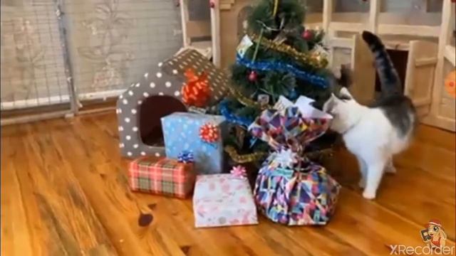 Песня для канала А НУКА-ДАВАЙ-КА смотреть онлайн