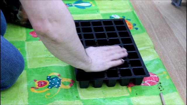 Spare time Gardening with Simon - Seedlings Update, Transplanting & Garden Tour - Apr 16 S1 E5 смотреть онлайн