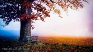 Жена изменила мужу с молодым парнем, а спустя годы...