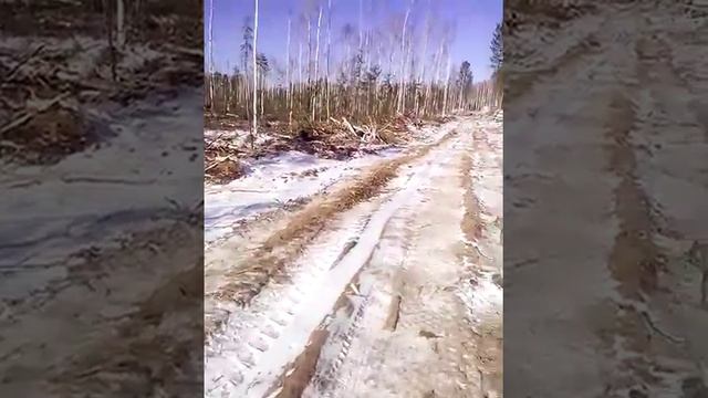 Разработка лесосеки(делянки)