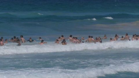 Пляжи Manly, Curl Curl, Freshwater, Australia part 2/ #австралия #пляж #жизньзаграницей