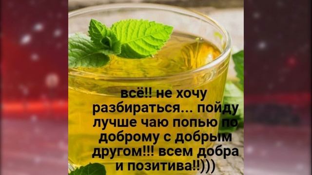 ГДЕ ВЗЯТЬ ГРИБЫ??? смотреть онлайн