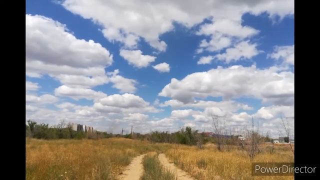 Настрой «Здоровый сон» Живолад смотреть онлайн