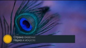 §28 "Средневековая Азия- Китай, Индия, Япония", История средних веков 6 класс, Агибалова.mp4