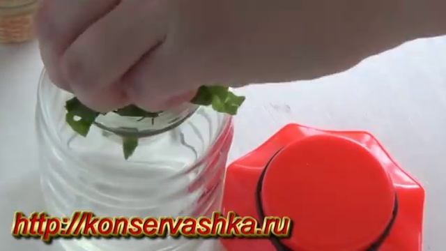 Щавель на зиму в банках смотреть онлайн