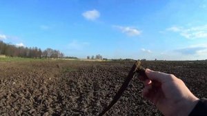 Что можно найти в поле с металлоискателем за 2.5 часа? Nokta makro simplex+