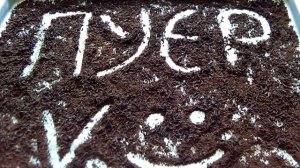 Делаем Пуэр из Черного Чая. Что такое пуэр, технология, состав, фармакология, рецепты.. ???☕???