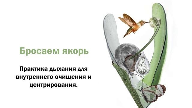 Бросаем якорь