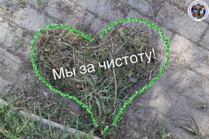 Субботник прошел очень воодушевленно и активно 🌱🤝