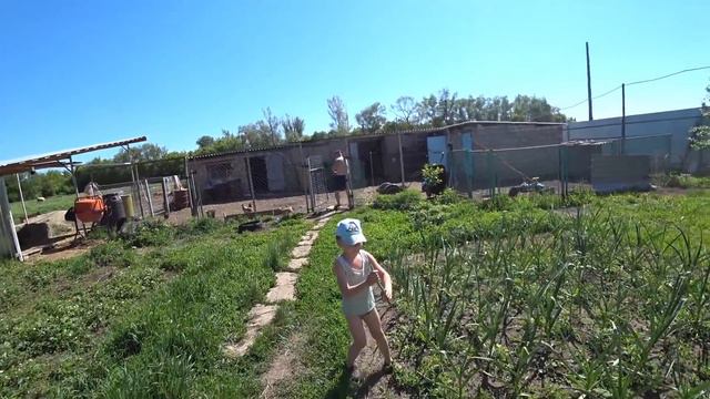 Деревенские будни / Посадки / Почему трактор не собираешь? / Семья в деревне