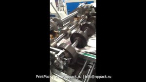 WS9905 контейнеры и лотки для fast-food