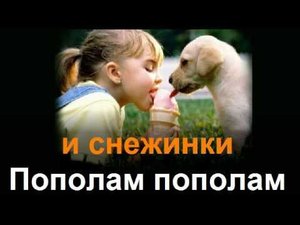 Все мы делим пополам