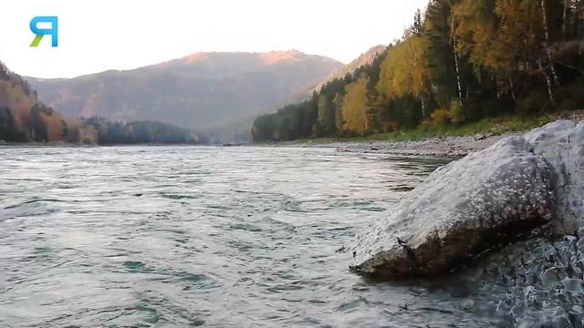 Уральские языки. Как образовались языки коренных народов Крайнего Севера | Факты смотреть онлайн