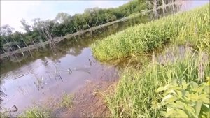 Рыбалка на реке Зуша .