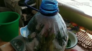 Закатка огурцов на зиму в пластиковой бутылке.