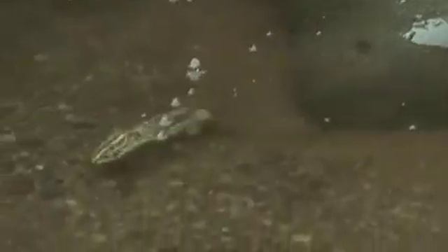 Bom yeoreum gaeul gyeoul geurigo bom 2003 HDRip смотреть онлайн