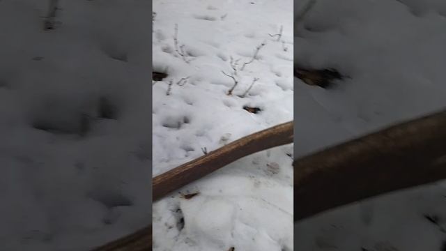 Поиск рогов оленя 2023. супер пара 9.98 кг. смотреть онлайн