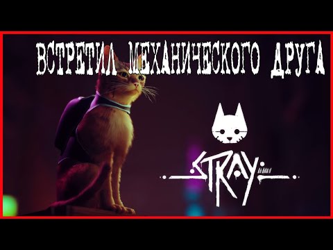 Stray ВСТРЕТИЛ МЕХАНИЧЕСКОГО ДРУГА