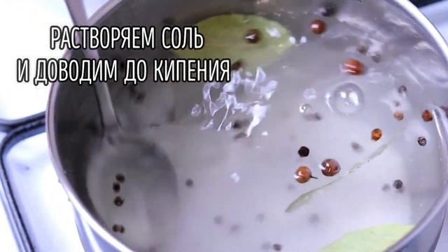 Рецепт просто БОМБА? Самое вкусное САЛО В РАССОЛЕ! ЕМ ЕГО ДАЖЕ В 3 ЧАСА НОЧИ!