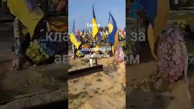 Одно из Харьковских кладбищ боевиков ВСУ.