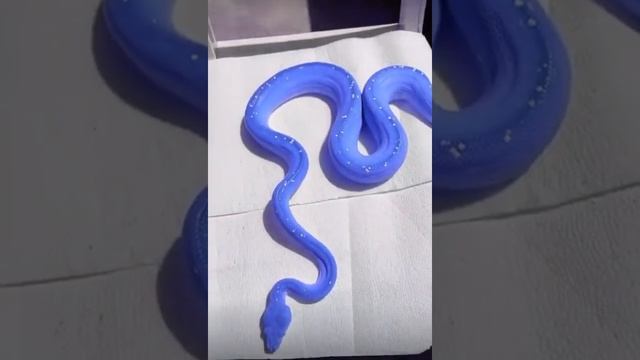 Синий змей ? Blue Snake