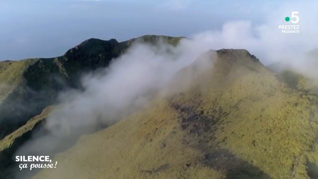 Intégrale - Silence, ça pousse ! 5 juin 2020 смотреть онлайн