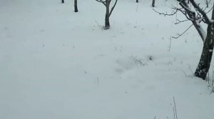 Гр Гапцах Эсмира 2018