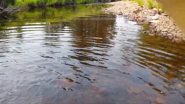 Загоны по Берее смотреть онлайн