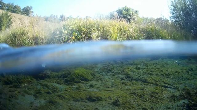 НАВЕВАЮТ СОН КАРТИНКИ УШЕДШЕГО ЛЕТА. смотреть онлайн