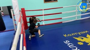 Тренировка маленьких боксеров