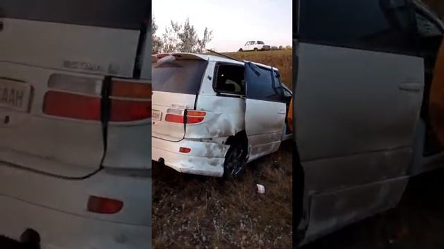 Дорога граница с Красноярск до Казахстана смотреть онлайн