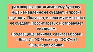 Яша и Боря в магазине! ? Одесские еврейские анекдоты. Лучшие смешные короткие анекдоты про евреев.